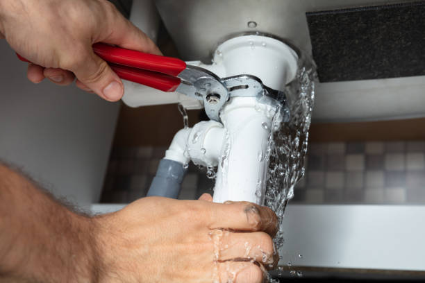 Best Mold removal after water damage  in Long View, NC
