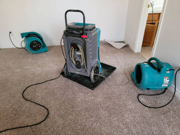 Best Water damage cleanup near me  in Long View, NC