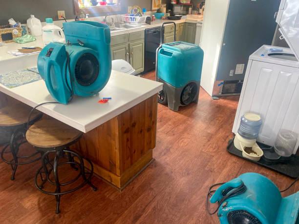 Best Carpet water damage restoration  in Long View, NC