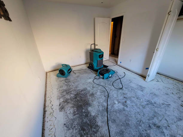 Best Water damage contractors near me  in Long View, NC
