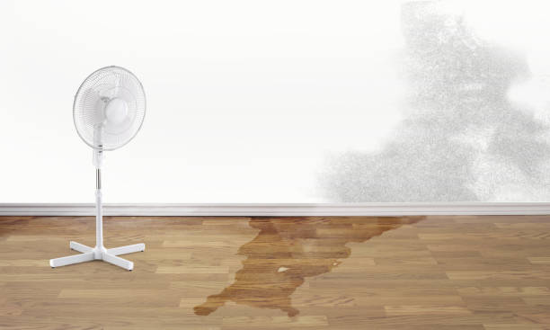Best Water damage contractors near me  in Long View, NC