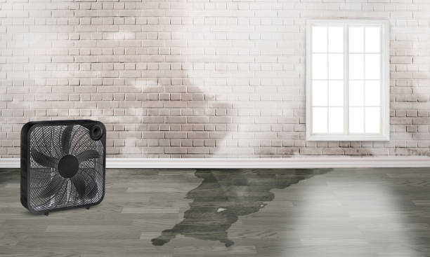 Best Local water damage restoration  in Long View, NC