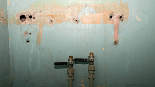Best Professional water damage repair  in Long View, NC