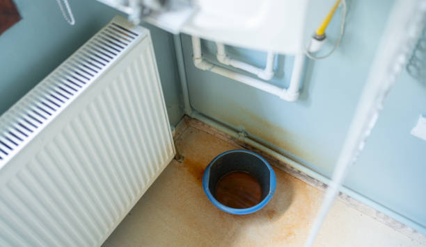 Best Water damage restoration near me  in Long View, NC