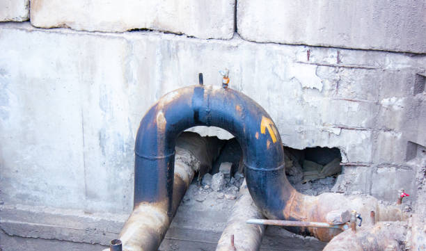 Best Professional water damage repair  in Long View, NC