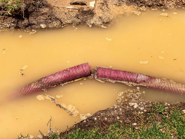 Water damage restoration mold remediation in Long View, NC