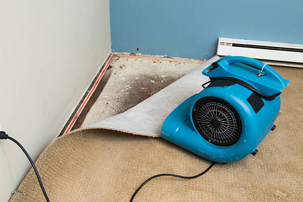 Reliable Long View, NC Water damage restoration Solutions